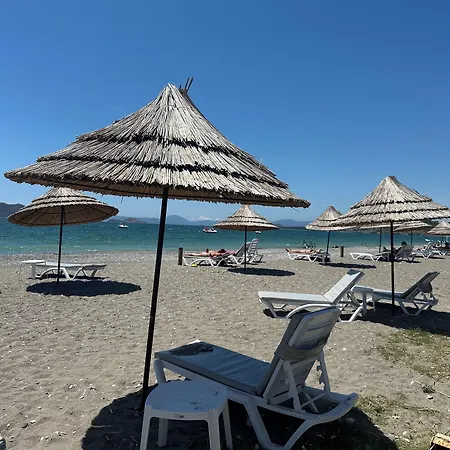 Daphne * Fethiye